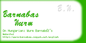 barnabas wurm business card